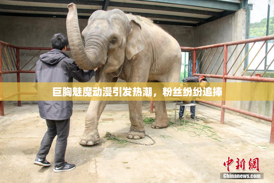 巨胸魅魔动漫引发热潮，粉丝纷纷追捧