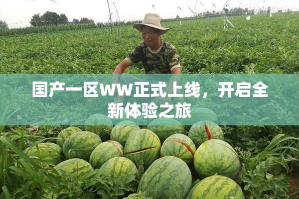 国产一区WW正式上线，开启全新体验之旅