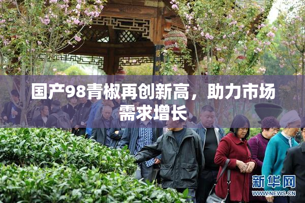 国产98青椒再创新高，助力市场需求增长