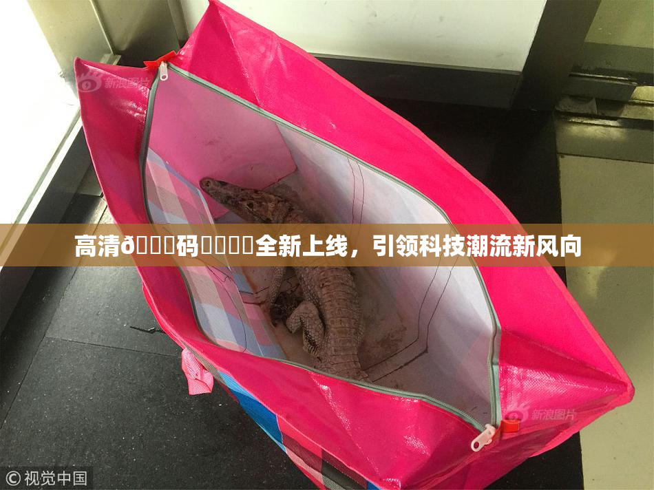 高清🈚码❌‌❌‌全新上线，引领科技潮流新风向