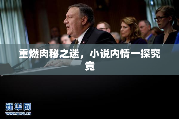 重燃肉秘之迷，小说内情一探究竟