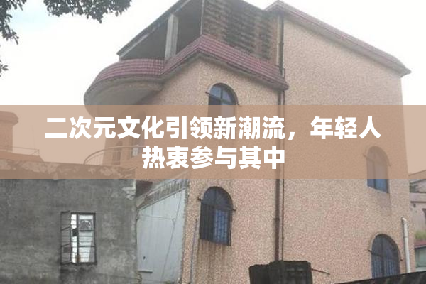 二次元文化引领新潮流，年轻人热衷参与其中