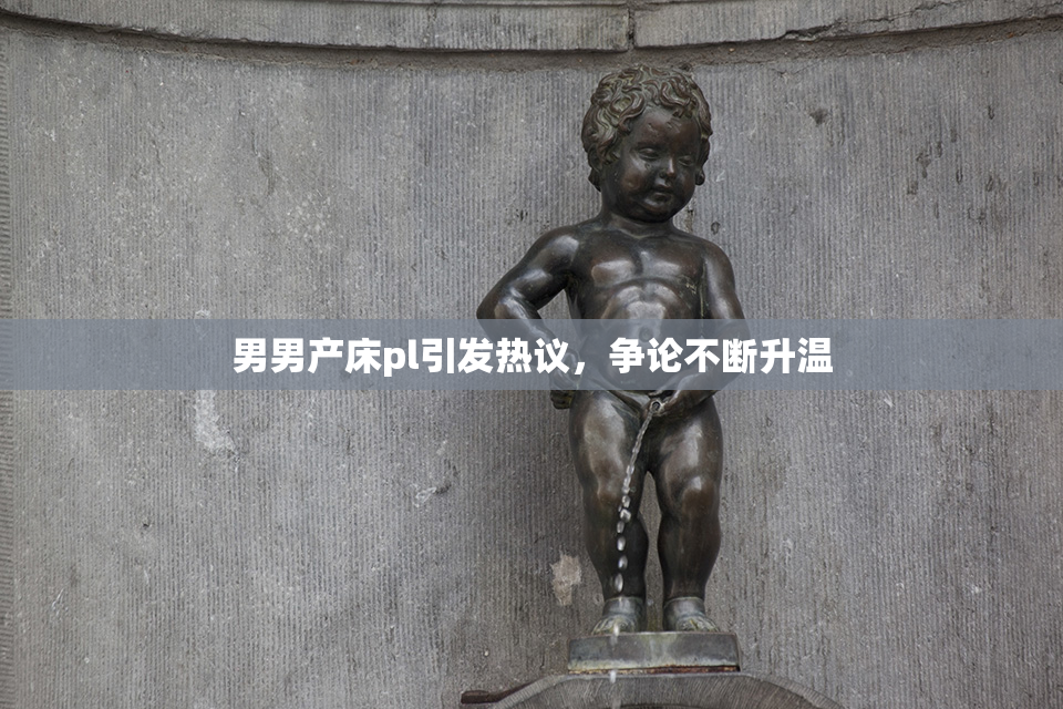 男男产床pl引发热议，争论不断升温