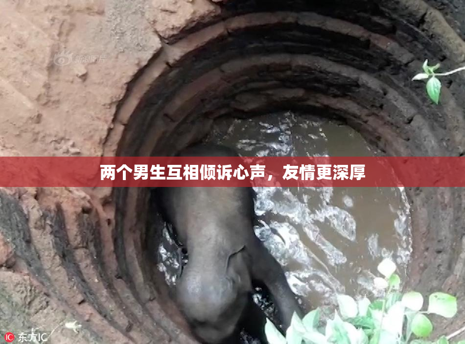 两个男生互相倾诉心声，友情更深厚