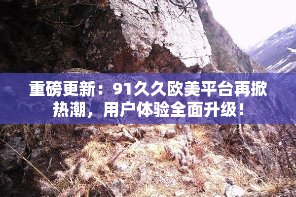 重磅更新：91久久欧美平台再掀热潮，用户体验全面升级！