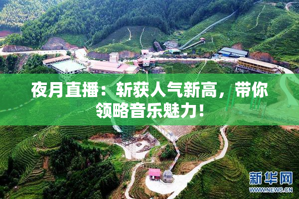 夜月直播：斩获人气新高，带你领略音乐魅力！