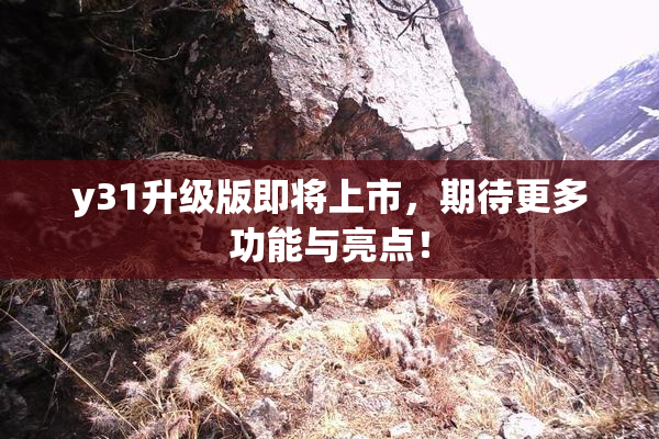 y31升级版即将上市，期待更多功能与亮点！