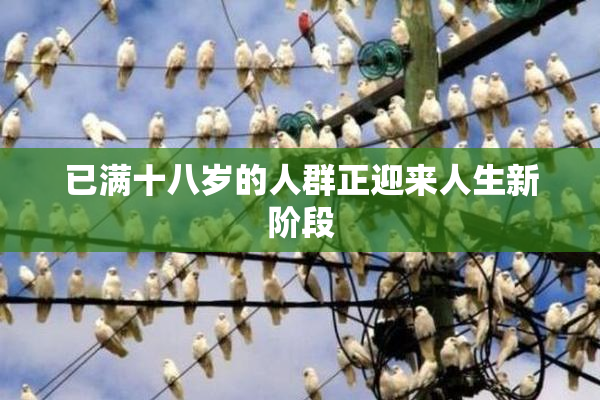 已满十八岁的人群正迎来人生新阶段