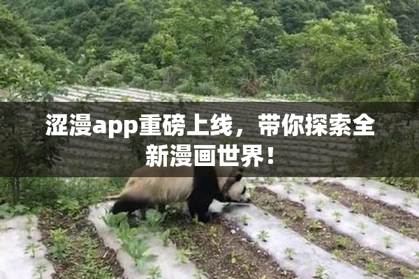 涩漫app重磅上线，带你探索全新漫画世界！