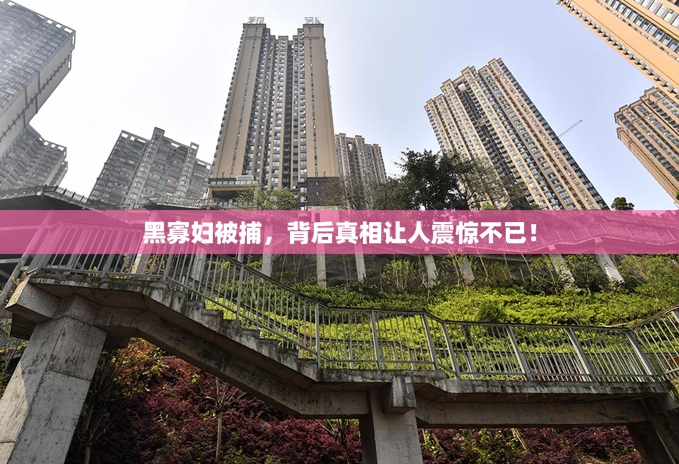 黑寡妇被捕，背后真相让人震惊不已！
