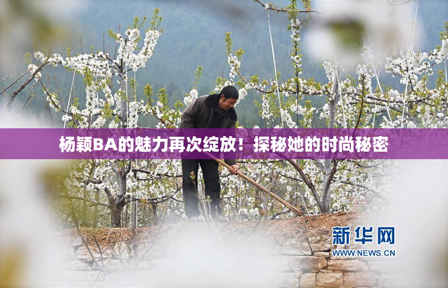 杨颖BA的魅力再次绽放！探秘她的时尚秘密