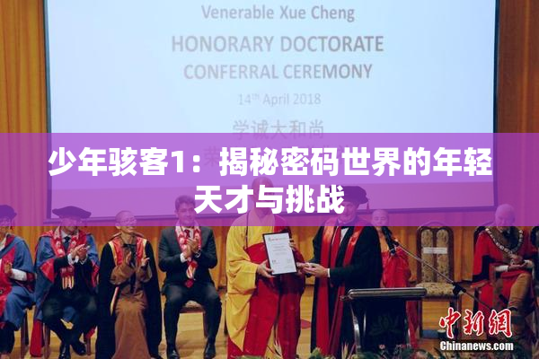 少年骇客1：揭秘密码世界的年轻天才与挑战