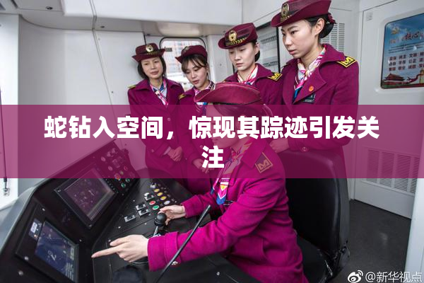 蛇钻入空间，惊现其踪迹引发关注