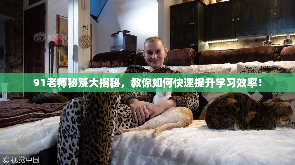 91老师秘笈大揭秘，教你如何快速提升学习效率！