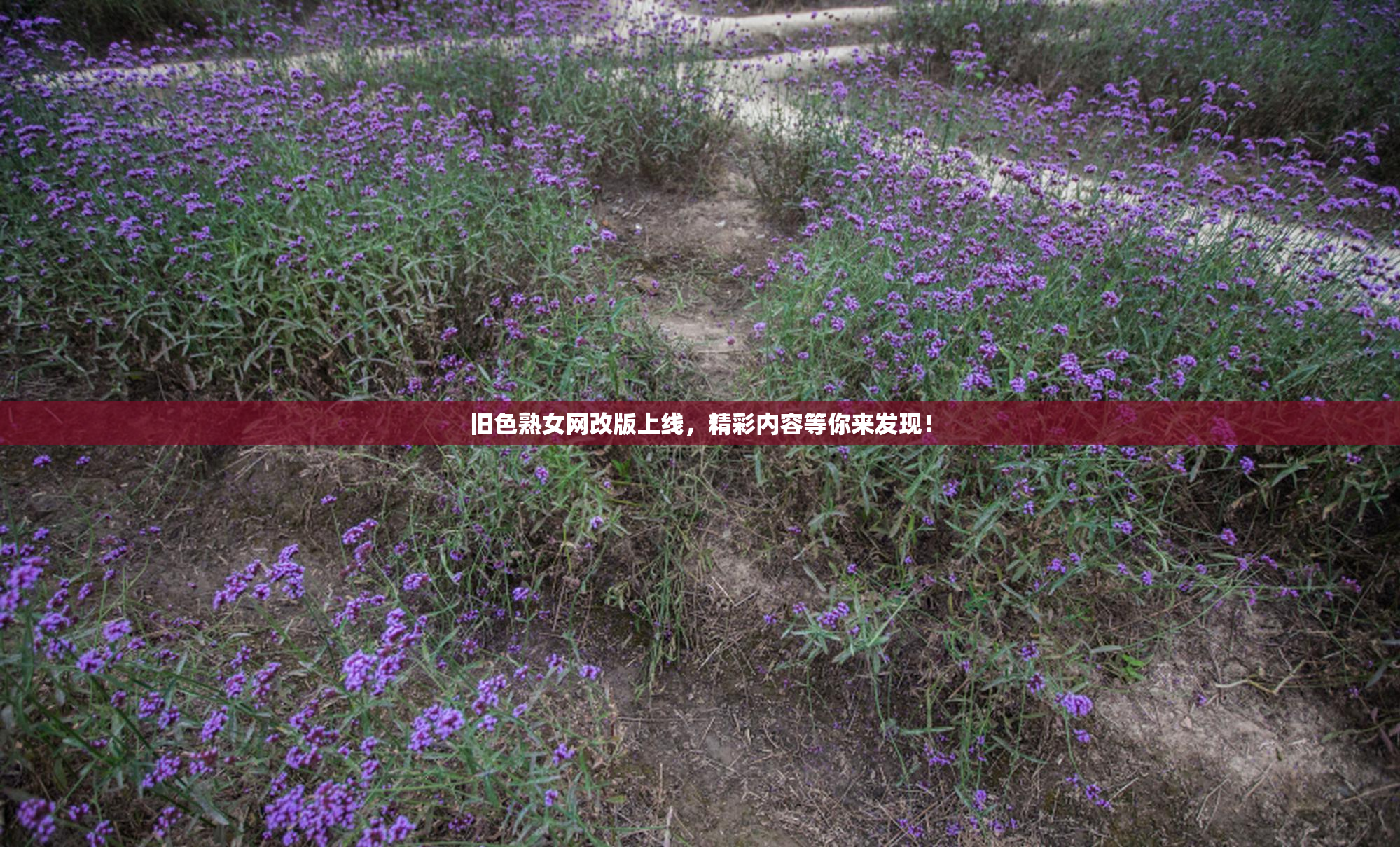 旧色熟女网改版上线，精彩内容等你来发现！