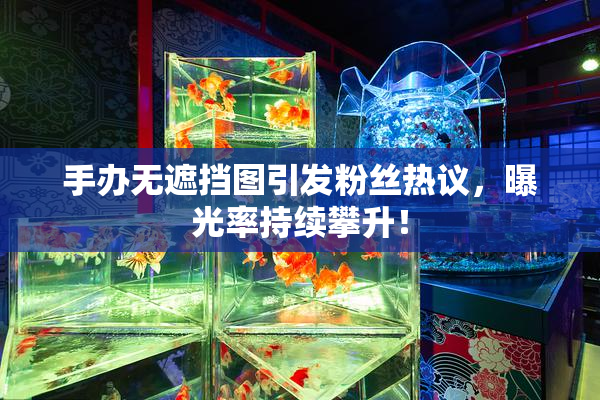 手办无遮挡图引发粉丝热议，曝光率持续攀升！