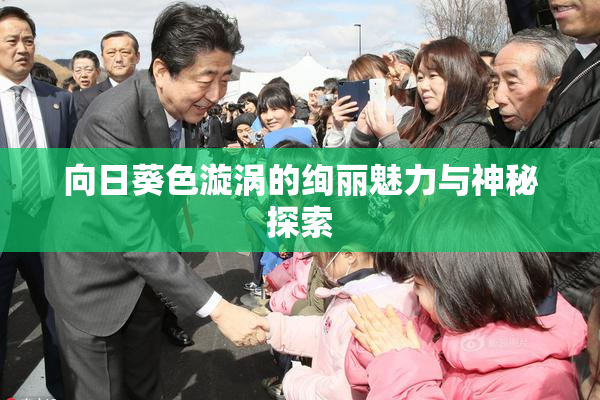 向日葵色漩涡的绚丽魅力与神秘探索