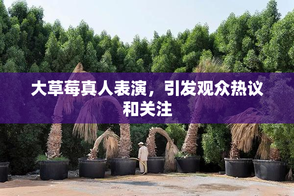 大草莓真人表演，引发观众热议和关注