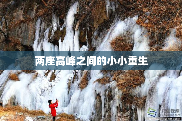 两座高峰之间的小小重生