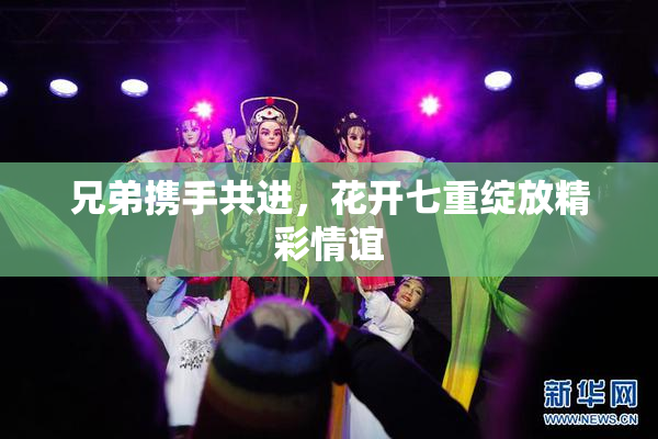 兄弟携手共进，花开七重绽放精彩情谊
