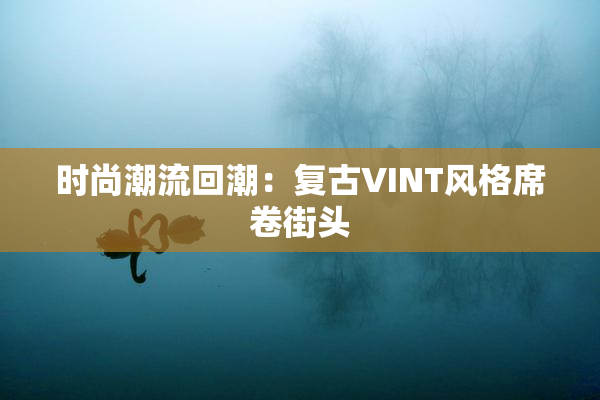 时尚潮流回潮：复古VINT风格席卷街头