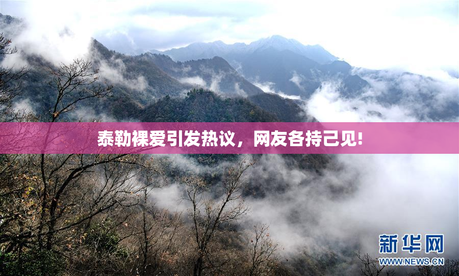 泰勒裸爱引发热议，网友各持己见!