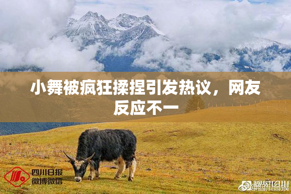 小舞被疯狂揉捏引发热议，网友反应不一