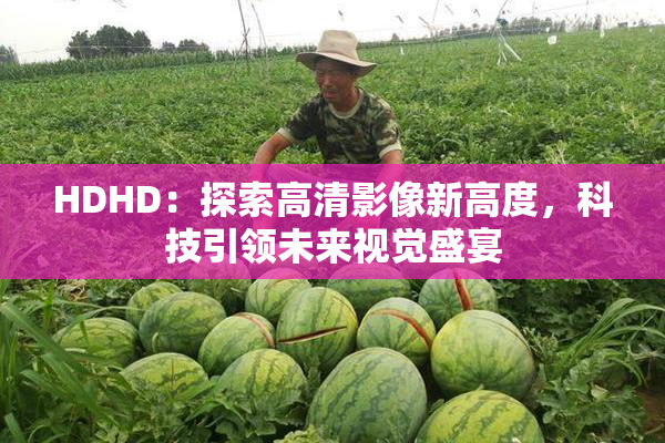 HDHD：探索高清影像新高度，科技引领未来视觉盛宴