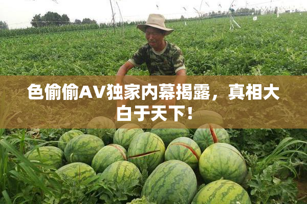 色偷偷AV独家内幕揭露，真相大白于天下！