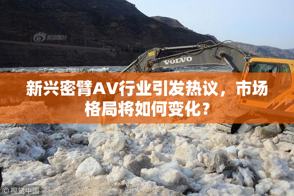 新兴密臂AV行业引发热议，市场格局将如何变化？