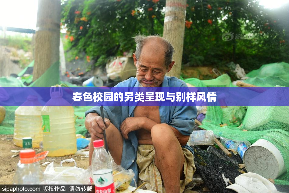 春色校园的另类呈现与别样风情