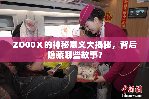 ZO00Ⅹ的神秘意义大揭秘，背后隐藏哪些故事？