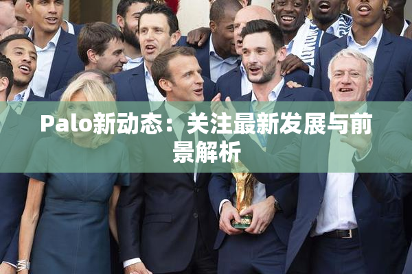 Palo新动态：关注最新发展与前景解析