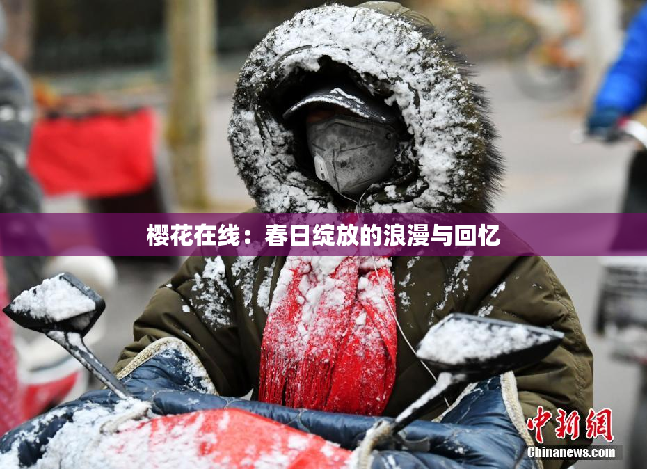 樱花在线：春日绽放的浪漫与回忆