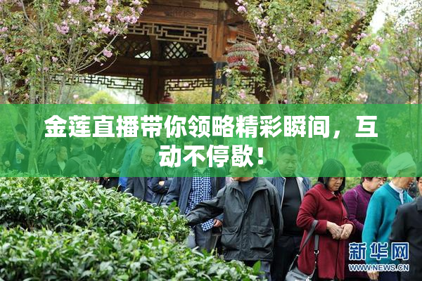 金莲直播带你领略精彩瞬间，互动不停歇！