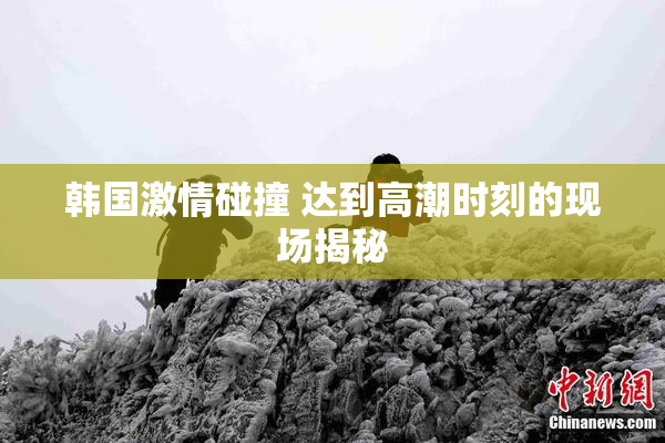 韩国激情碰撞 达到高潮时刻的现场揭秘