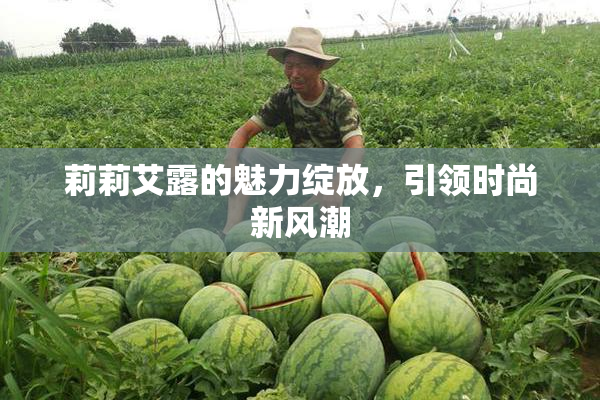 莉莉艾露的魅力绽放，引领时尚新风潮