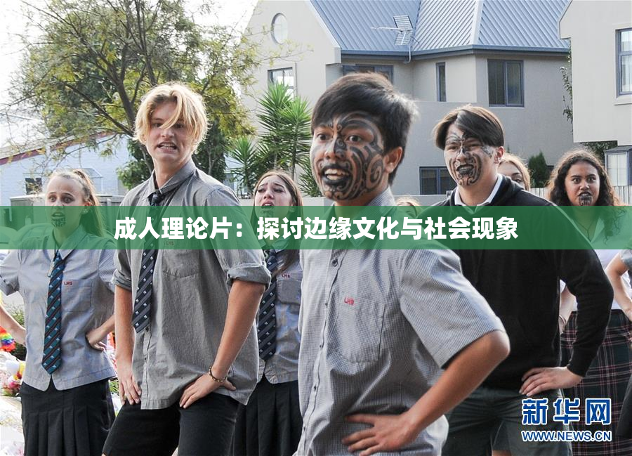 成人理论片：探讨边缘文化与社会现象
