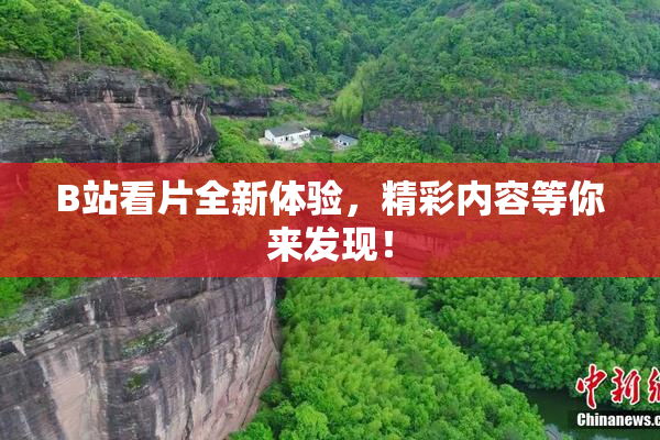 B站看片全新体验，精彩内容等你来发现！