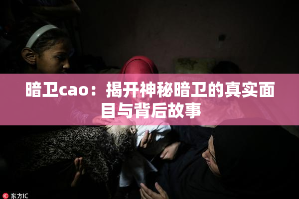 暗卫cao：揭开神秘暗卫的真实面目与背后故事