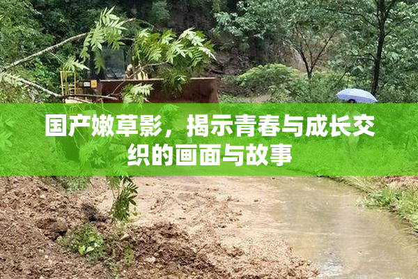 国产嫩草影，揭示青春与成长交织的画面与故事