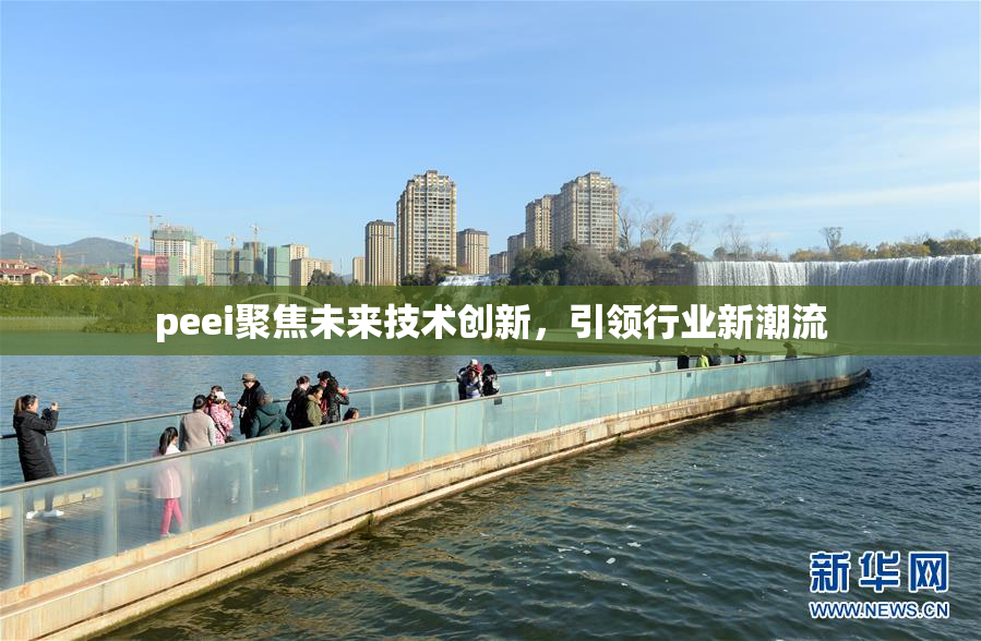 peei聚焦未来技术创新，引领行业新潮流