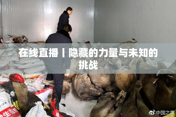 在线直播丨隐藏的力量与未知的挑战