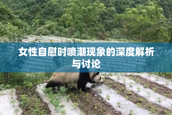 女性自慰时喷潮现象的深度解析与讨论