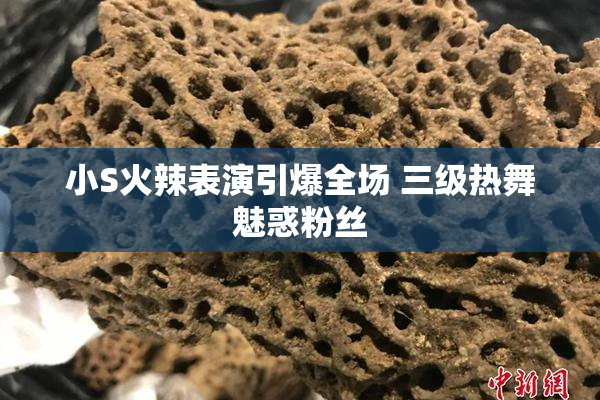 小S火辣表演引爆全场 三级热舞魅惑粉丝