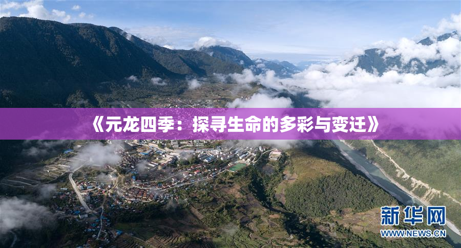 《元龙四季：探寻生命的多彩与变迁》