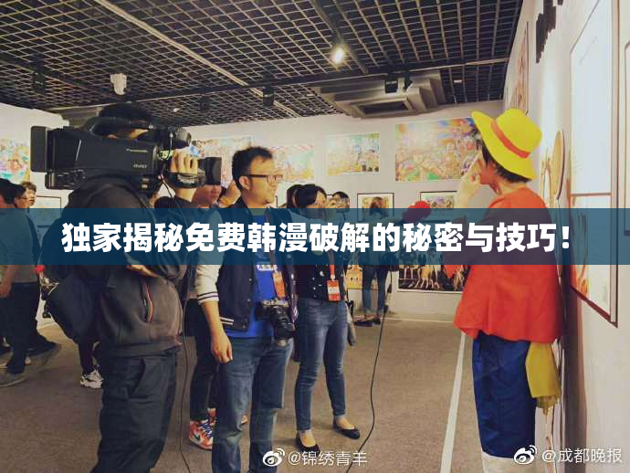 独家揭秘免费韩漫破解的秘密与技巧！