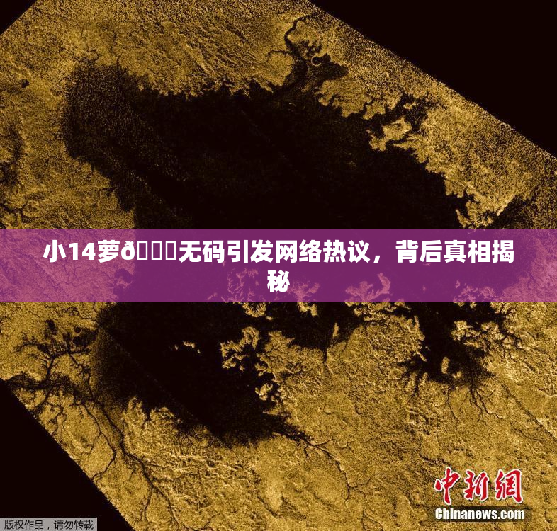 小14萝🔞无码引发网络热议，背后真相揭秘