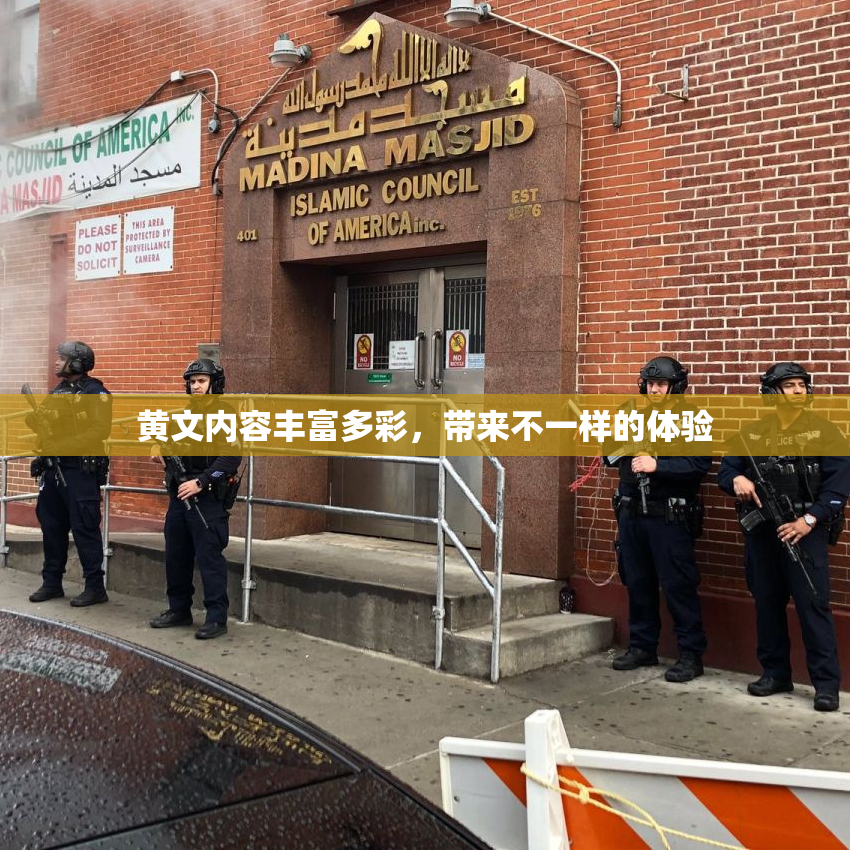 黄文内容丰富多彩，带来不一样的体验