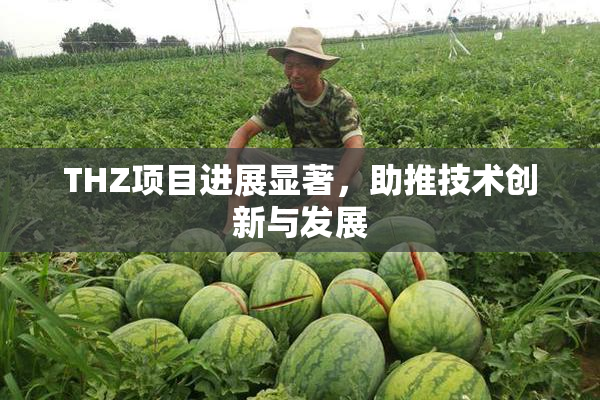 THZ项目进展显著，助推技术创新与发展